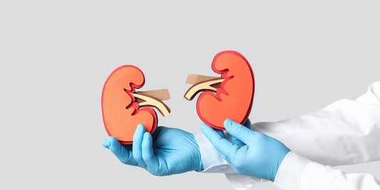 Lo que tus Riñones Necesitan