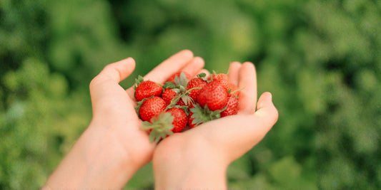 Antioxidantes y Vitaminas: ¿Cuál es la Diferencia?