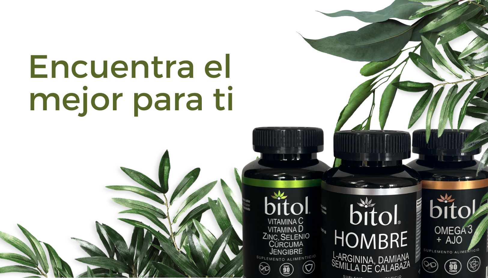 Bitol KITS – Bitol