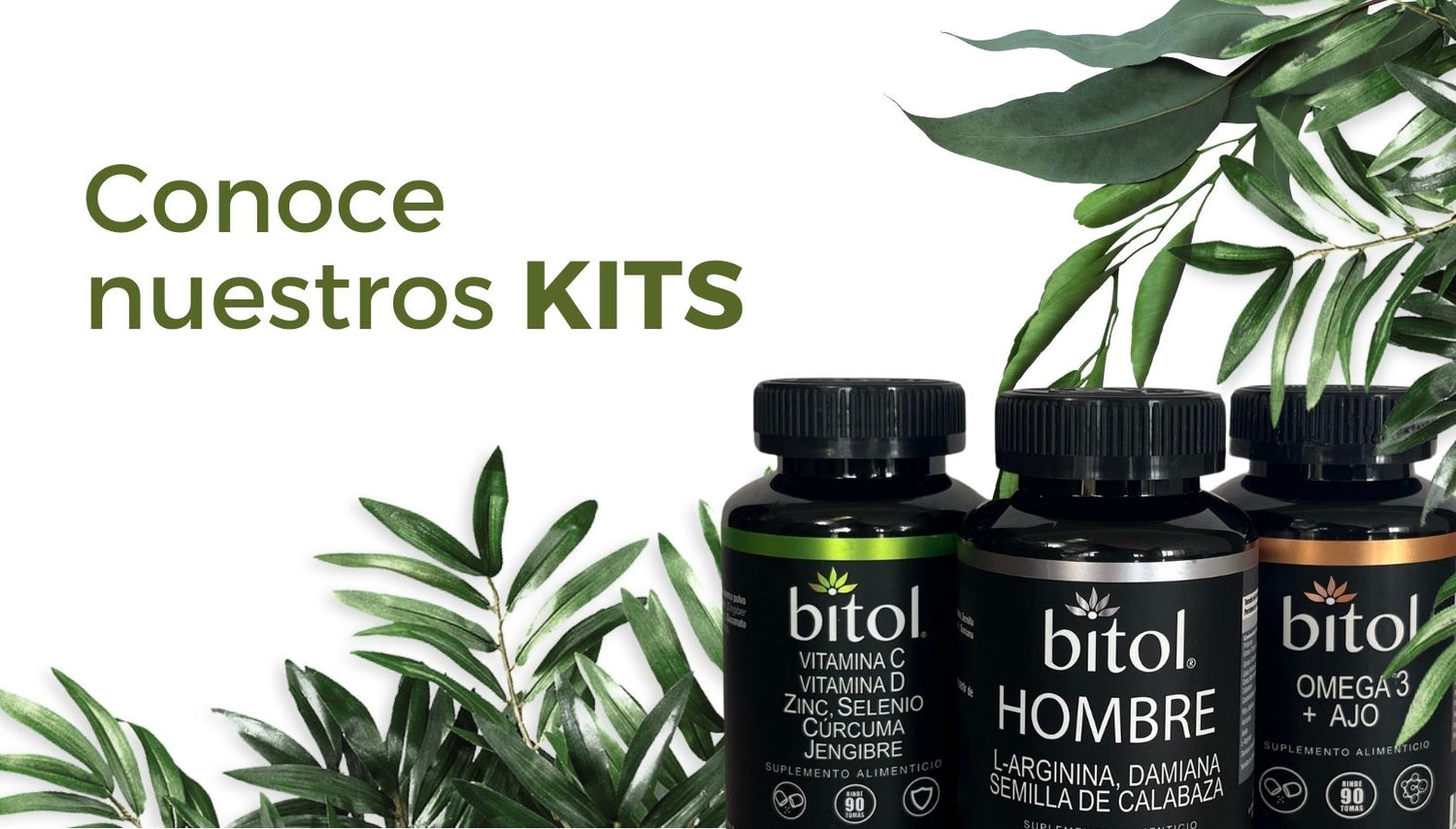 Bitol Suplementos Alimenticios